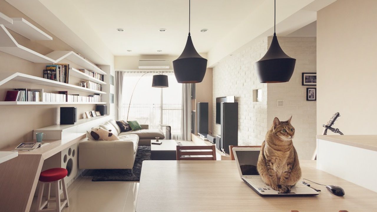 10 Pet Friendly Designs For Your New Home