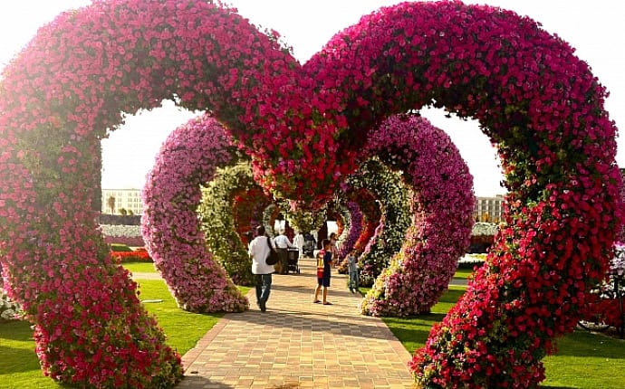 Dubai Miracle Garden-The most Attractive Garden in the World