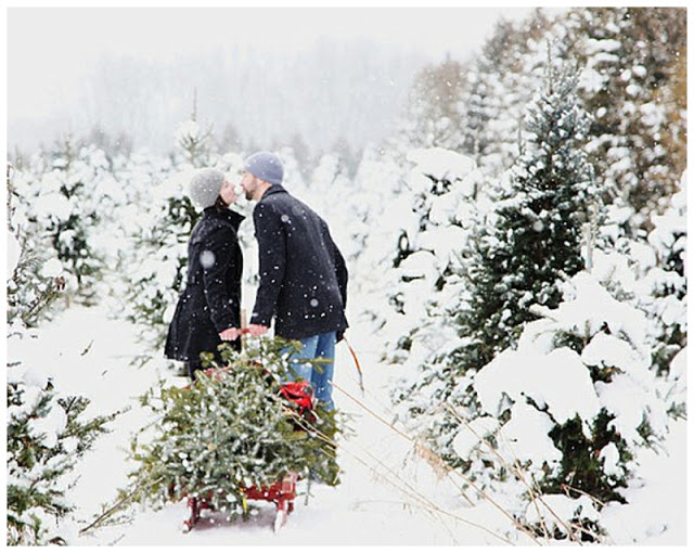 40 Creative and Unique Ways to Take a Family Photos for your Christmas ...