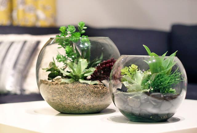 23 Great Ideas To Freshen Up Your Home With Mini Terrarium