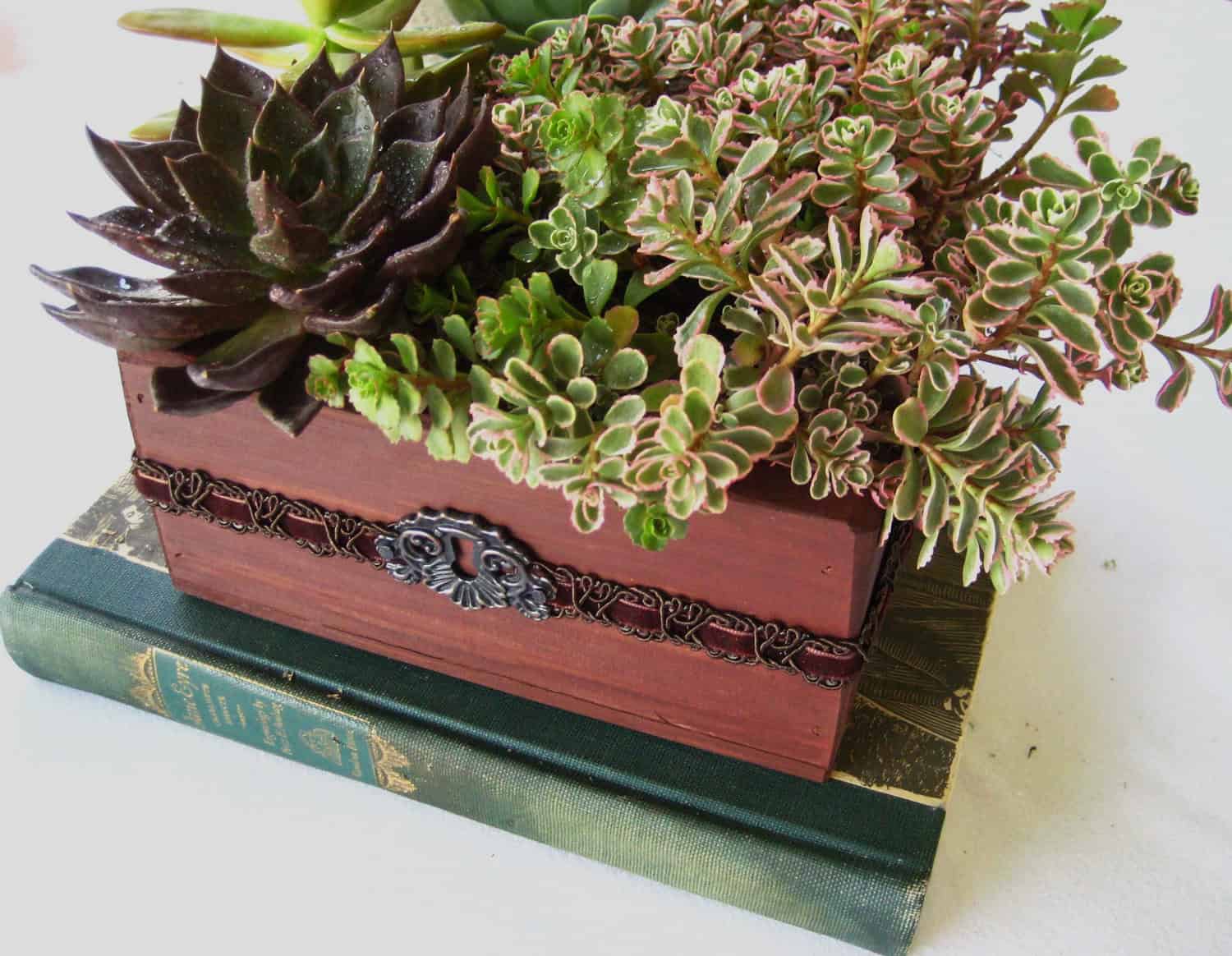 18 Lively Handmade Succulent Spring Decorations