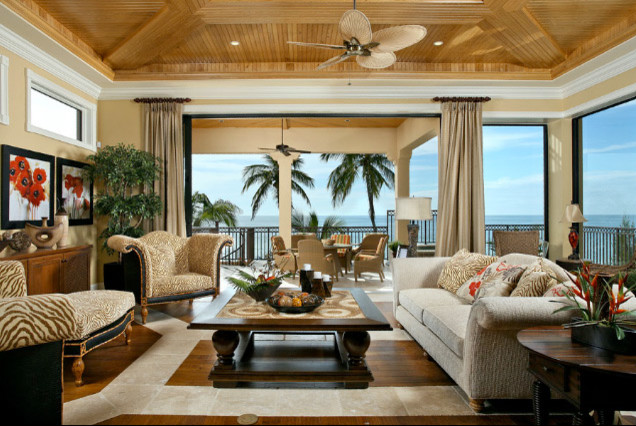 exotic color living room