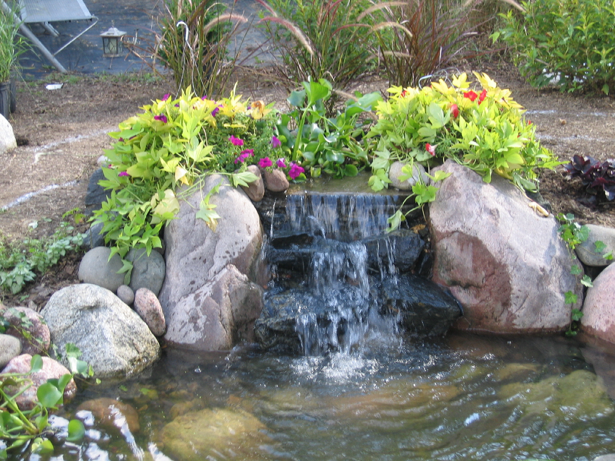 backyard waterfall gardens