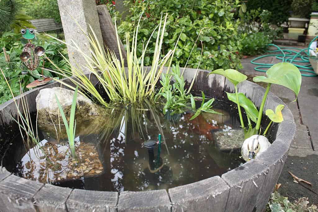 15 Charming DIY Mini Garden Pond Ideas