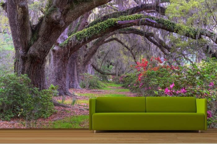 nature living room wallpaper