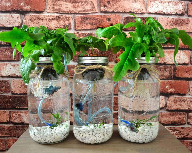 15 Incredible Handmade Mason Jar Ideas For Your Garden And Outdoor Areas