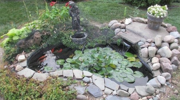 15 Awe-Inspiring Garden Ponds That You Can Make By Yourself