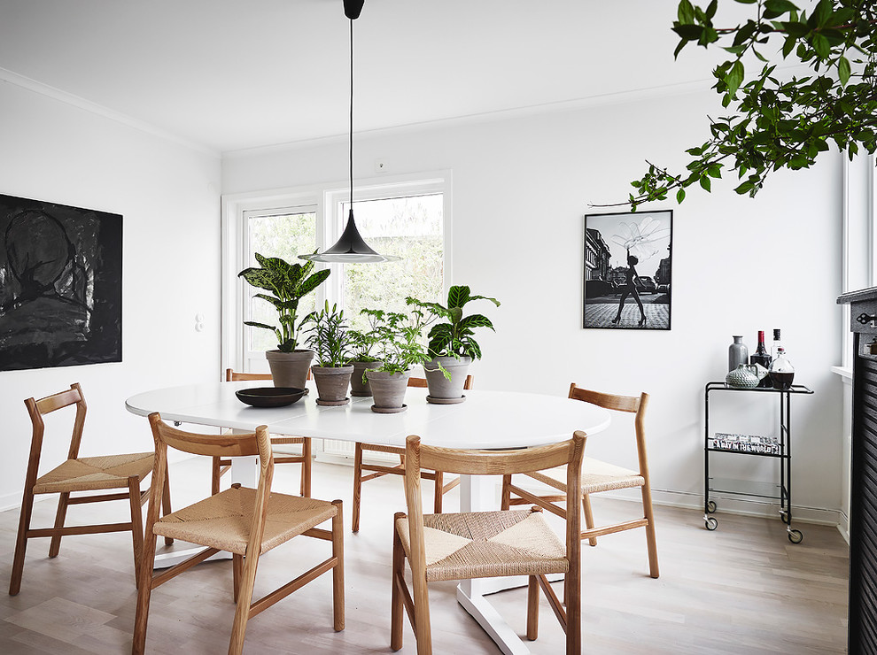 Scandinavian Dining Room Design With Chair Rail