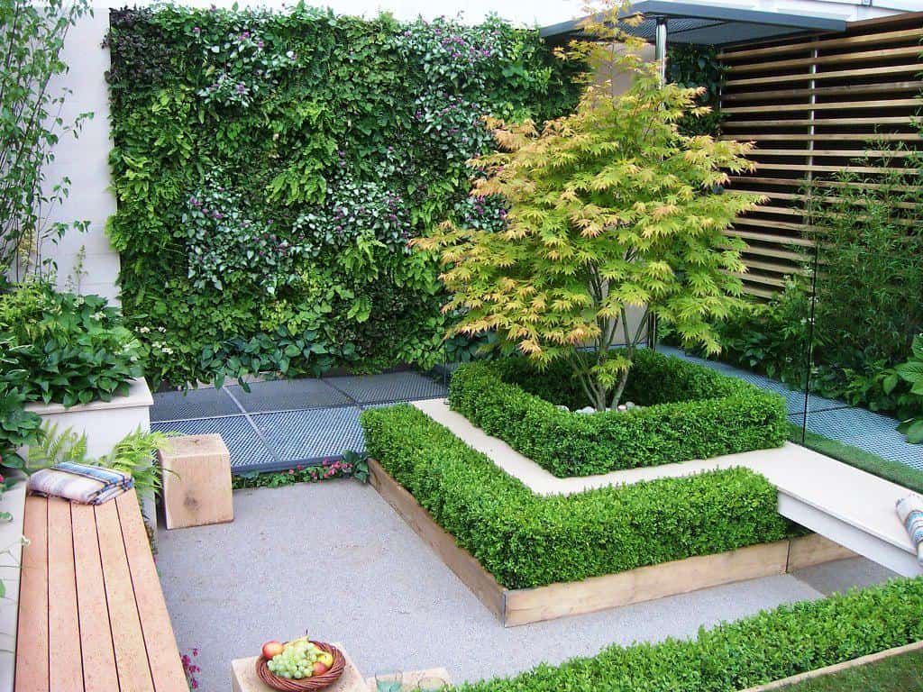 The Most Beautiful Ideas for a Minimalist Garden