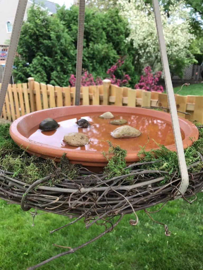 15 Charming DIY Bird Bath Ideas For Your Garden