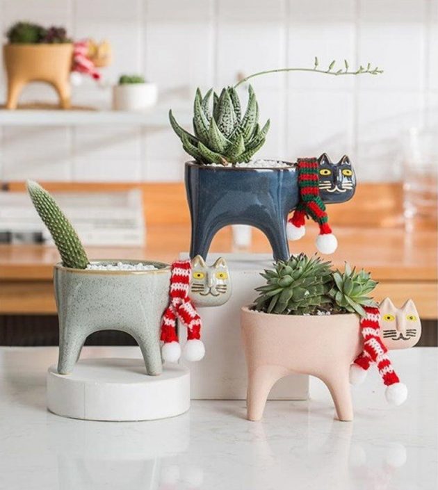 18 Minimalist Succulent Pot Designs For A Modern Touch