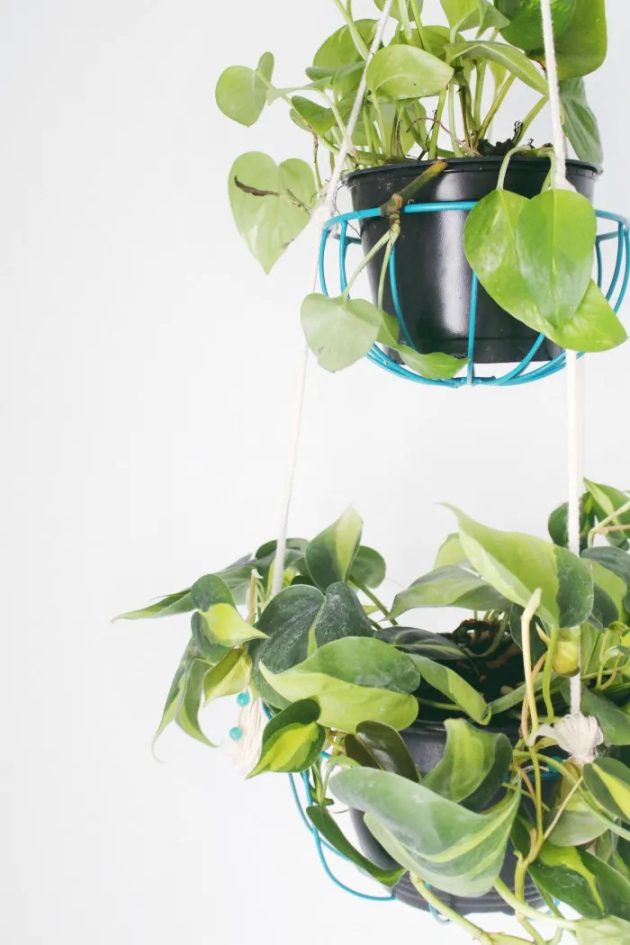 16 Unique DIY Hanging Planter Projects To Add Greenery To Any Space   16 Unique DIY Hanging Planter Projects To Add Greenery To Any Space 8 630x945 